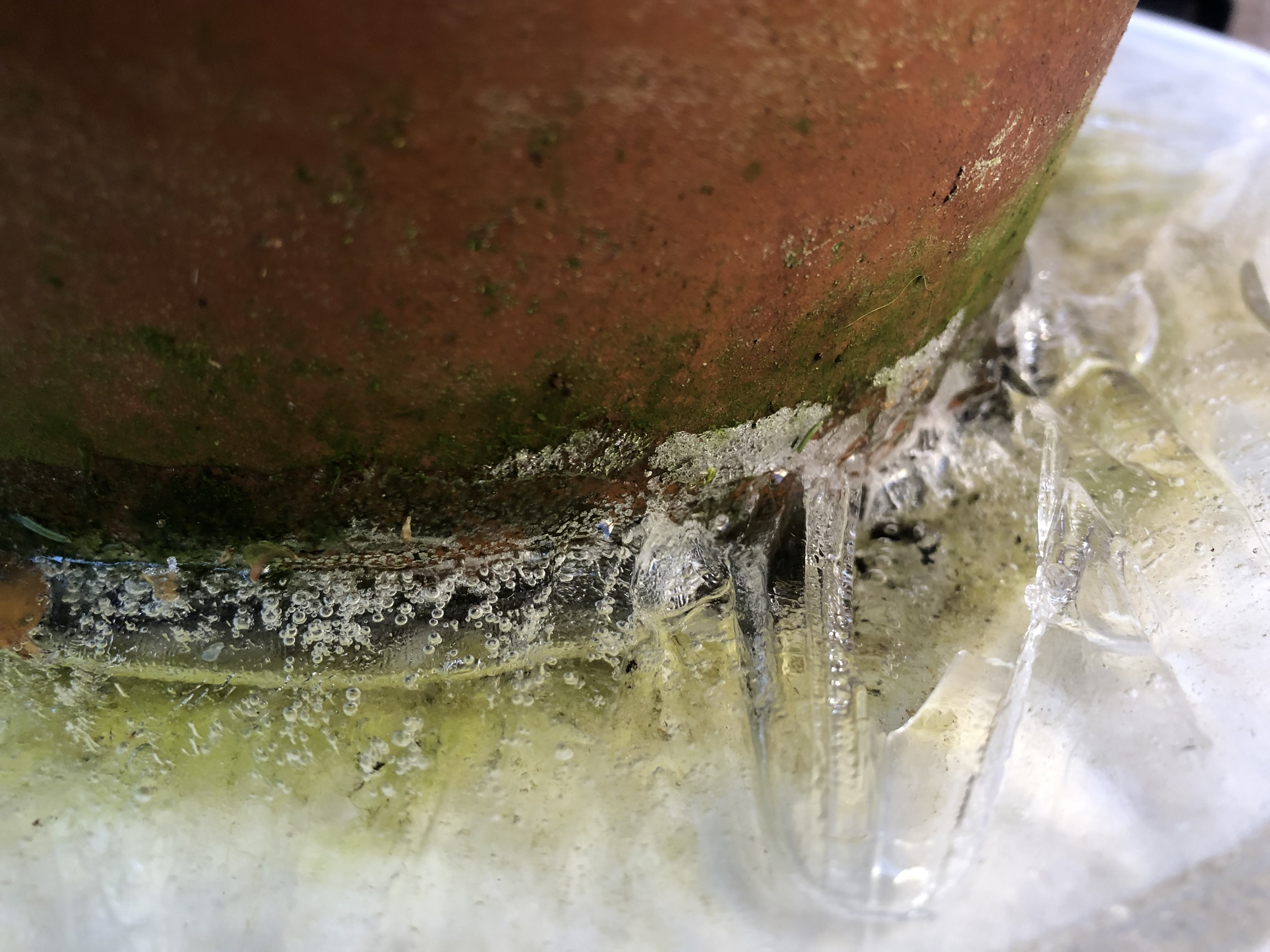 frozen water in a pot 